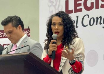 Diputada Jaime Castillo exige a empresas ferroviarias atender responsabilidad ambiental en el sur de Tamaulipas