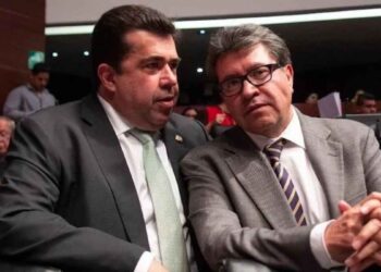 Selene Ávila violencia política