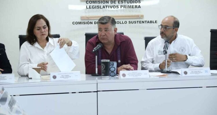 Ley Mantenimiento y Limpieza predios