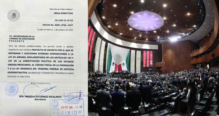 Diputados federales reciben la minuta del Senado con reformas a la Ley de Amparo