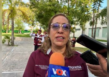 Morena calma asambleas seccionales