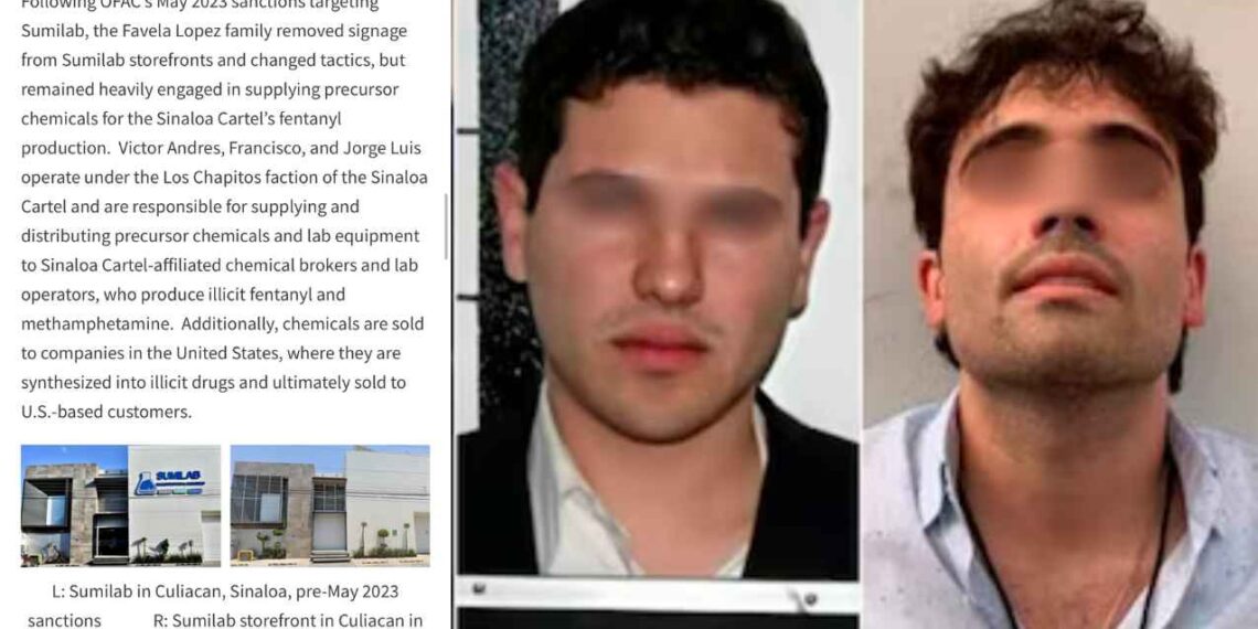 EU sanciona a 8 personas y 12 empresas en México presuntamente ligadas a la facción ‘Los Chapitos’ del Cártel de Sinaloa