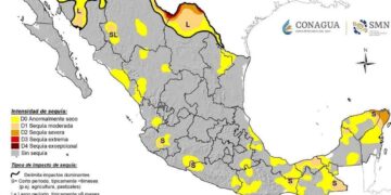 En Tamaulipas, el 95 % ya no sufre sequía, revela especialista