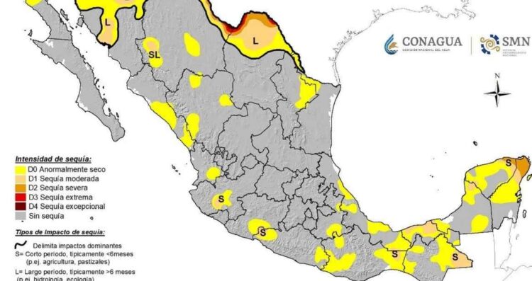 En Tamaulipas, el 95 % ya no sufre sequía, revela especialista