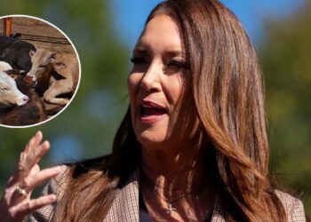 Estados Unidos confirma ausencia de nuevos casos de gusano barrenador en la frontera