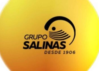 Grupo Salinas Corte Interamericana