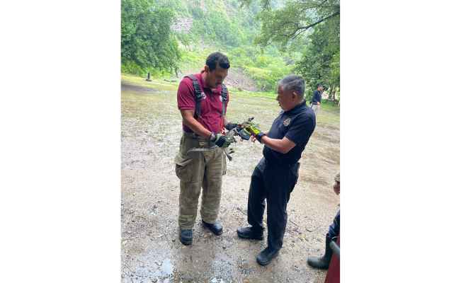 Hallan cocodrilo a un costado del río San Marcos en Ciudad Victoria, Tamaulipas 