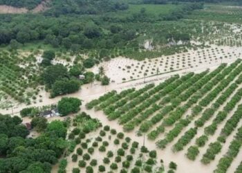 intensas lluvias Guerrero