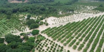 intensas lluvias Guerrero