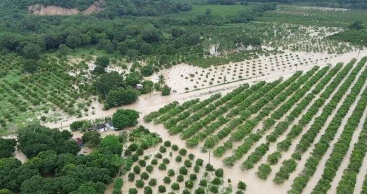 intensas lluvias Guerrero