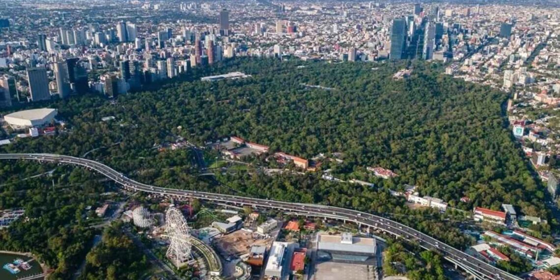 México superficie forestal