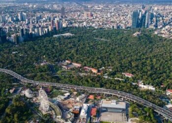 México superficie forestal