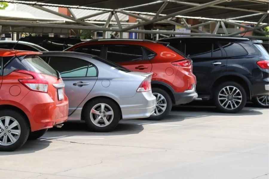 Lanzan llamado urgente ante descuidos con niños y mascotas en autos de Ciudad Victoria, Tamaulipas