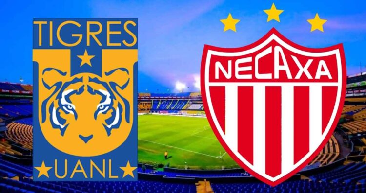 Liga MX ¿A qué hora y dónde ver en vivo el partido de Tigres vs Necaxa,