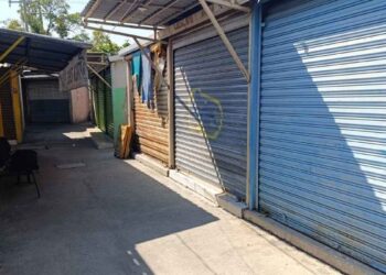 Mercado Guadalupe de Ciudad Victoria, Tamaulipas, enfrenta su peor crisis en décadas