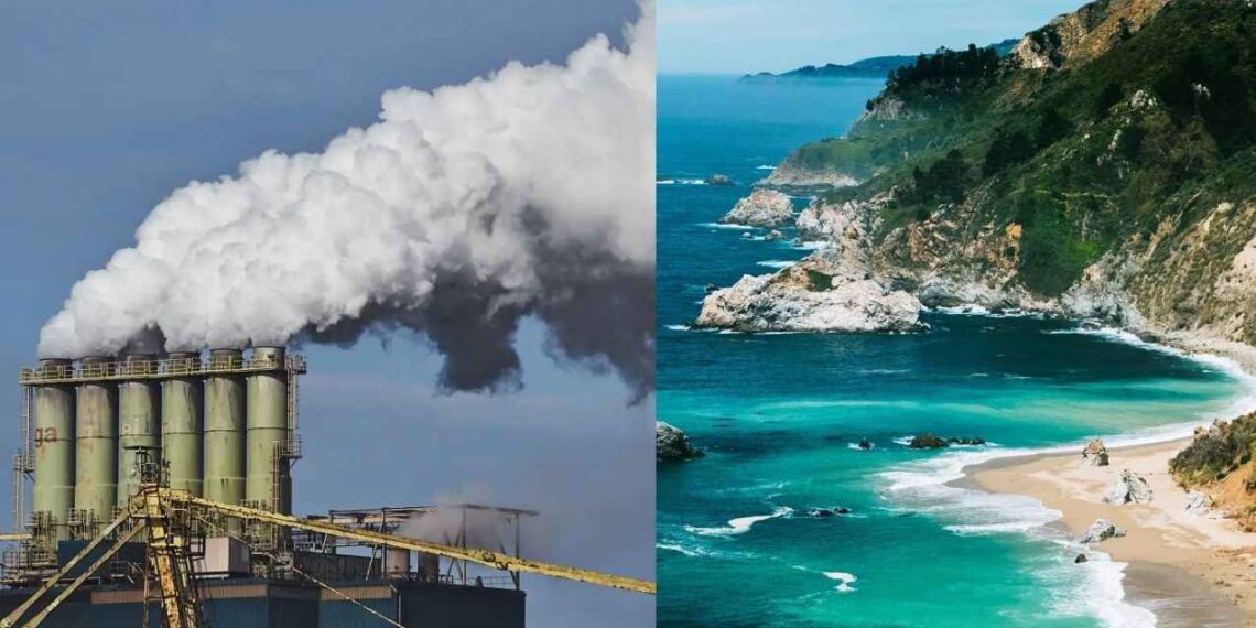 Organizaciones alertan el Golfo de California en riesgo por planta de gas fósil