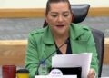INE riesgo investigaciones consejeros