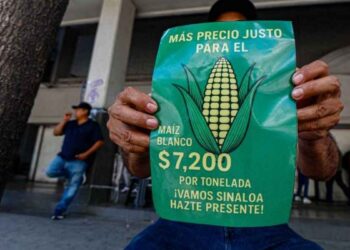 agricultores propuesta maíz