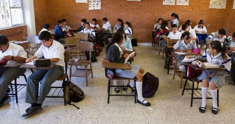 SEP solicita a docentes reconocer a niños y adolescentes trans en escuelas de México