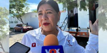 Secretaría de Salud alerta en Ciudad Victoria por mordeduras de murciélagos en zonas habitadas