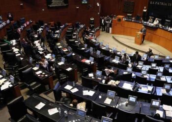 Senado Ley de Ingresos
