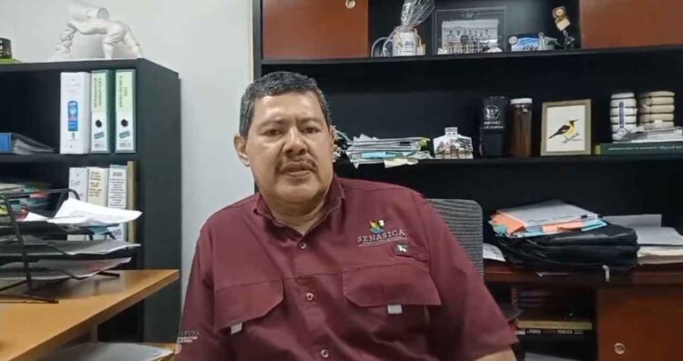 Tamaulipas logra avances clave en el combate de plagas agrícolas