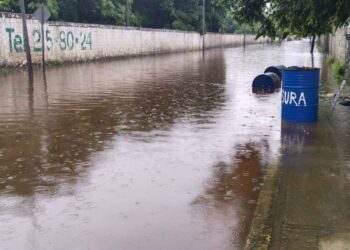 Tampico y Madero buscan una solución definitiva al problema del Camino del Arenal