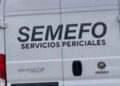 Abasolo enjambre abejas