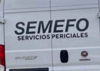 Abasolo enjambre abejas