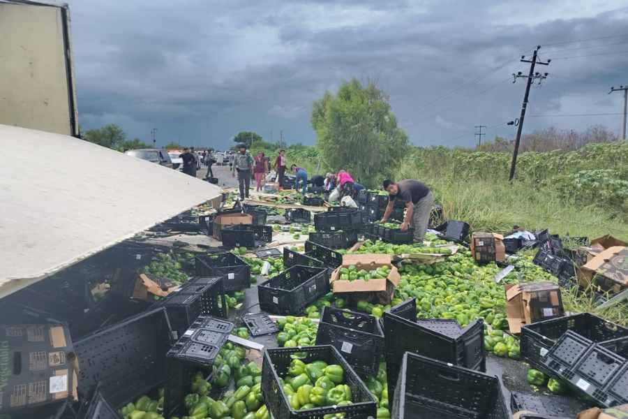 Tráiler con chile vuelca en Padilla (3)
