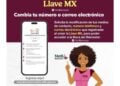 actualizar datos en Llave MX