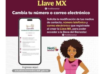 actualizar datos en Llave MX