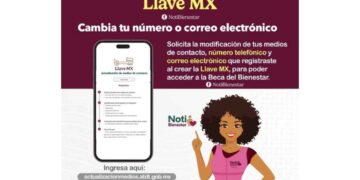 actualizar datos en Llave MX