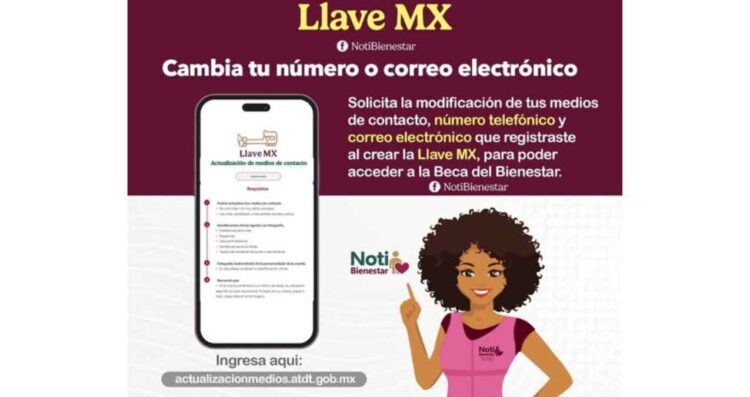 actualizar datos en Llave MX