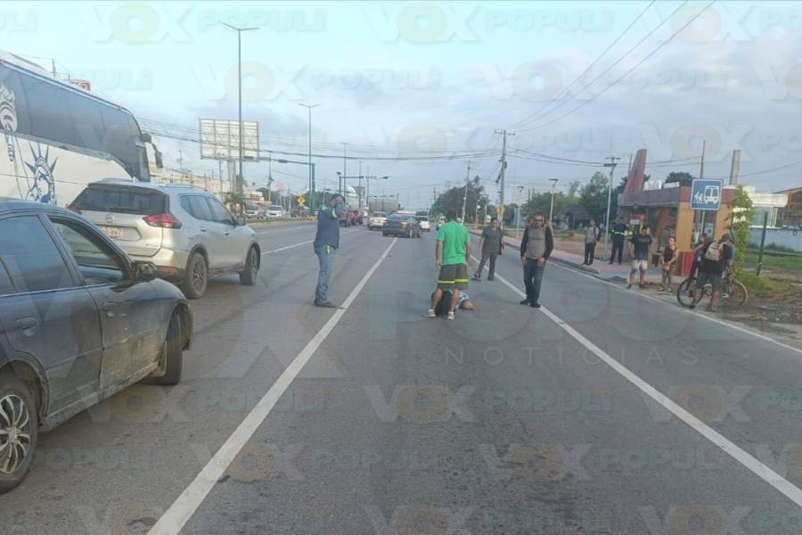 adulto mayor atropellado en altamira