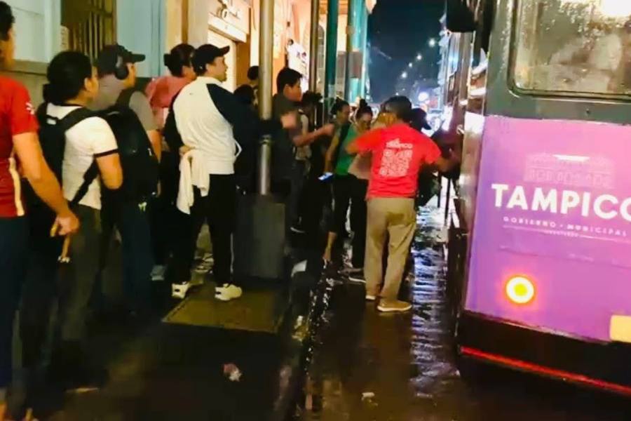 apoyo en transporte público en Tampico
