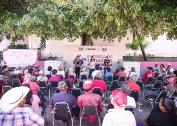 apoyos alimentarios DIF Tamaulipas