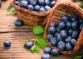 arándanos antioxidantes