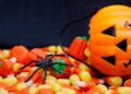 cantidad de dulces para niños Halloween