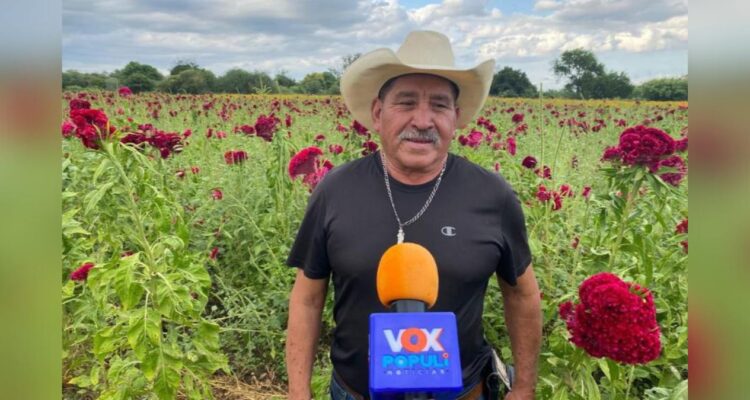 cempasúchil en ejido la libertad en victoria
