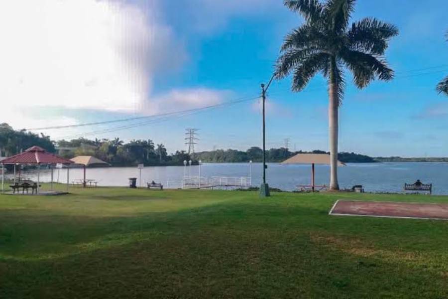 cocodrilos en parque fray andrés