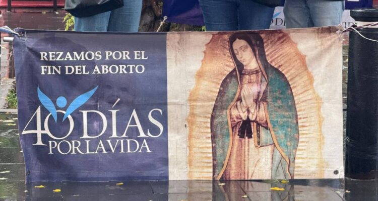 colectivo 40 días por la vida
