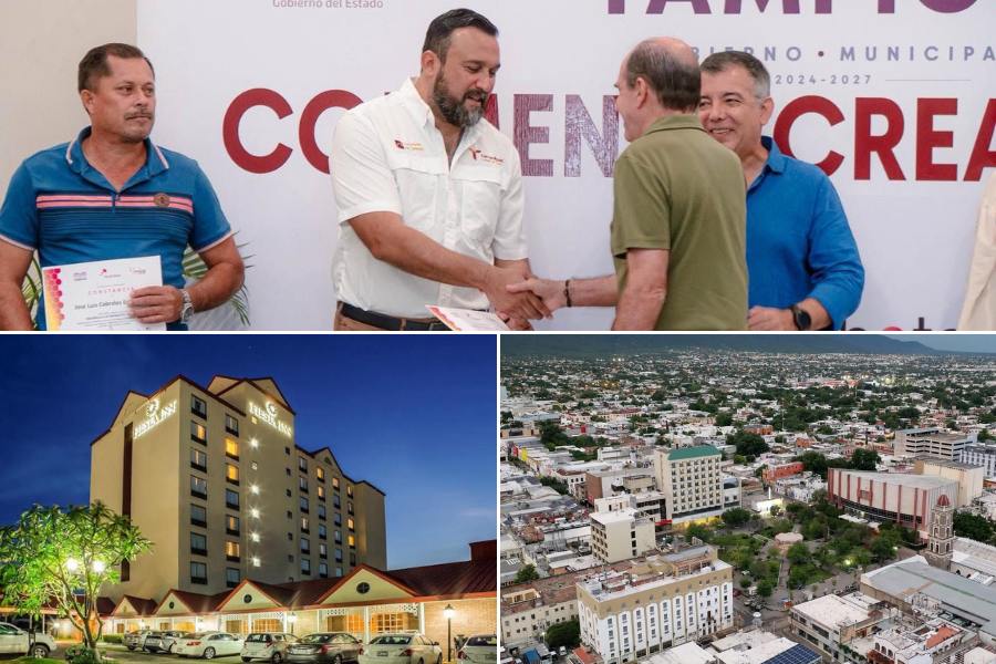 colmenas creativas en tamaulipas