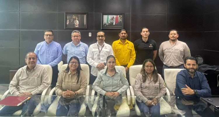 combate de incendios forestales en Tamaulipas