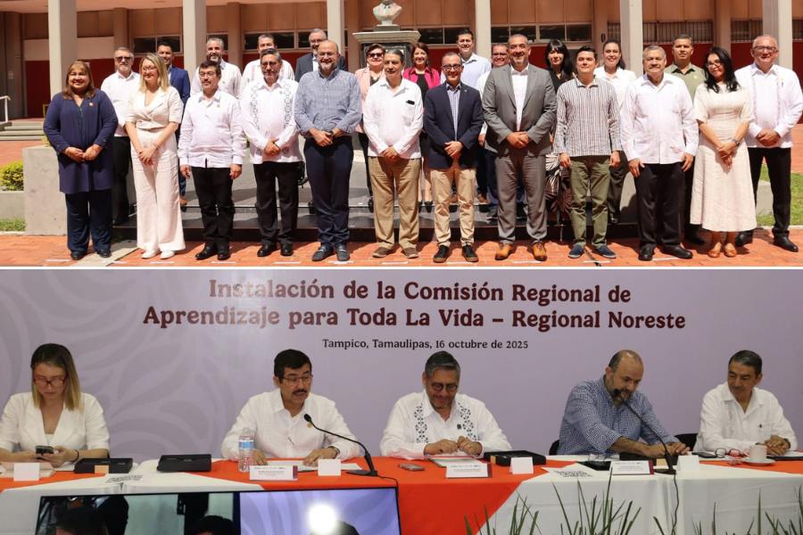 comisión de aprendizaje para toda la vida de uat