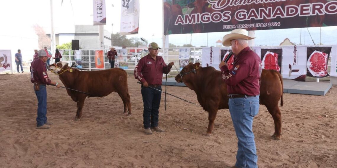 Concurso Novillo Gordo Tamaulipas