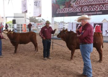 Concurso Novillo Gordo Tamaulipas