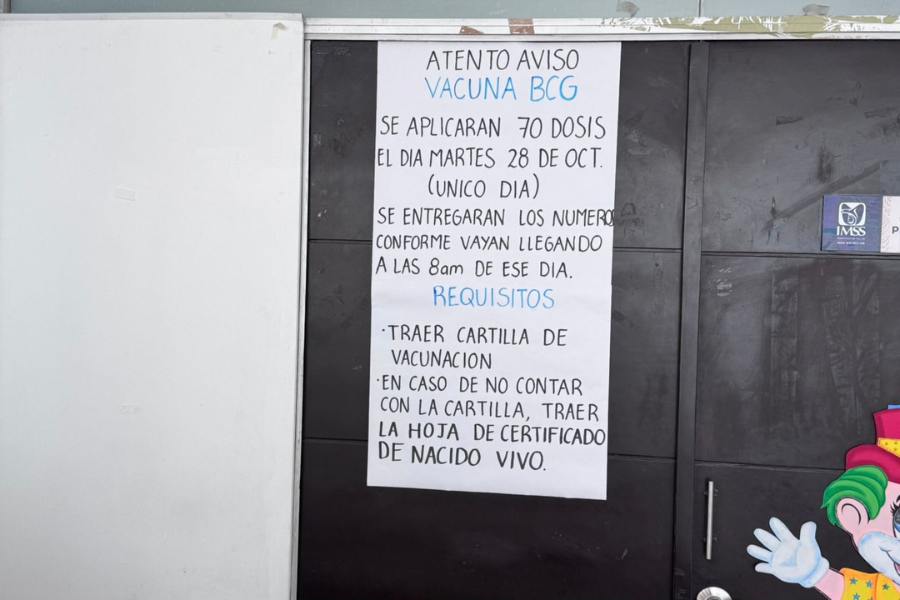 escasez temporal de vacuna bcg