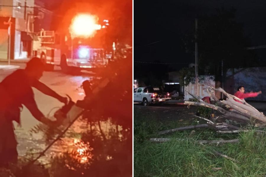 frente frío 11 en ciudad victoria