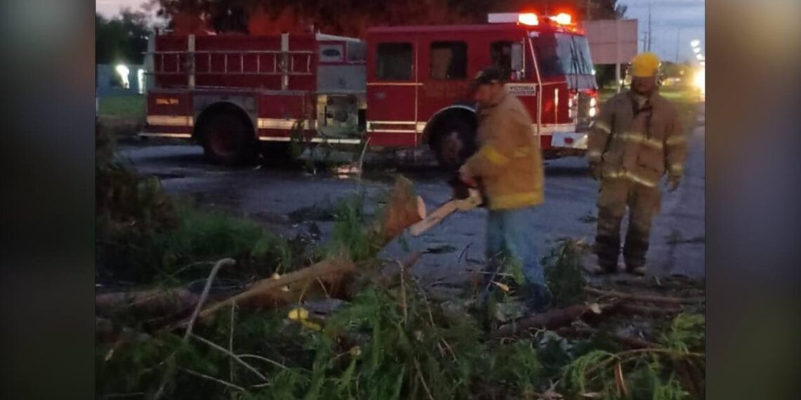 frente frío 11 en ciudad victoria